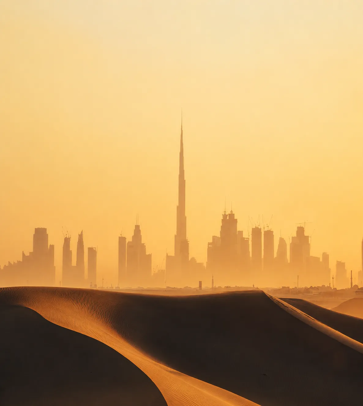 Multi-Brand F&B Group · Est. 2012Building Food Brands That UAE Loves